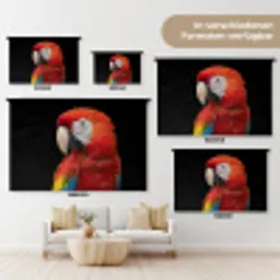 Ara - Portret - Rood Wandkleed katoen klein -tsfeer8_DE