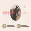 Paard - Zonsondergang - Bruin Akoestische PET Vilt - Rond klein -USP_NL