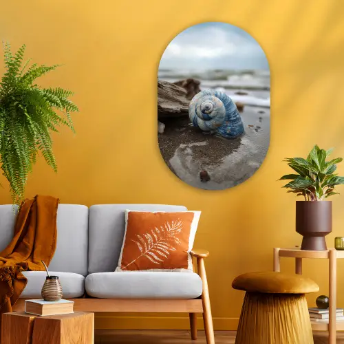 Schelp - Strand - Blauw - Zee Wandcirkel Ovaal Glas middel -sfeer4