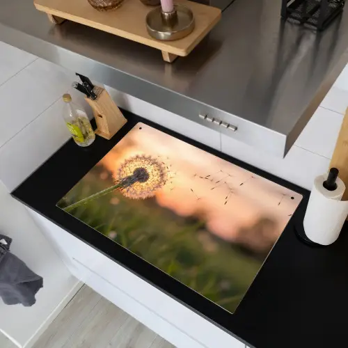 Paardenbloem - Zonsondergang - Veld Inductie beschemer met haakjes klein -sfeer1