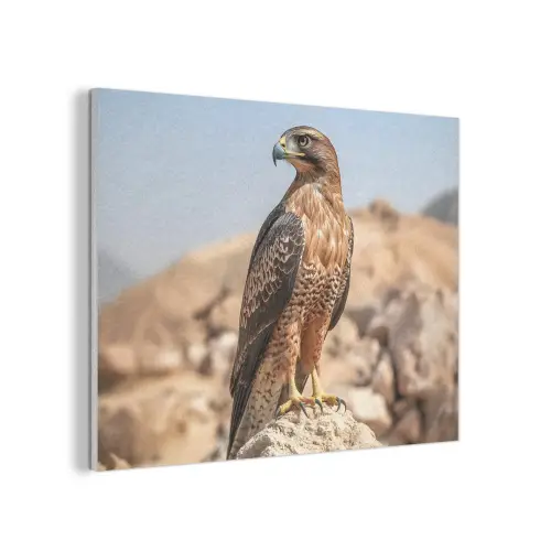 Valk - Vogel - Rots - Macht PET vilt klein -3d