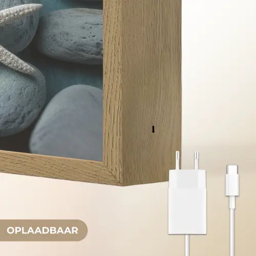 Zeesterren - Stenen - Wit Light Box met batterij (Wandlamp) middel -USP_websiteoplaadbaarNL