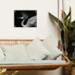 Kraanvogel - Zwart - Wit - Vogel - Dieren tuinposter los doek klein -sfeer7