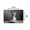Sphynx - Kat - Dieren - Humor - Spaghetti - Zwart Wit Placemat vinyl groot -specs