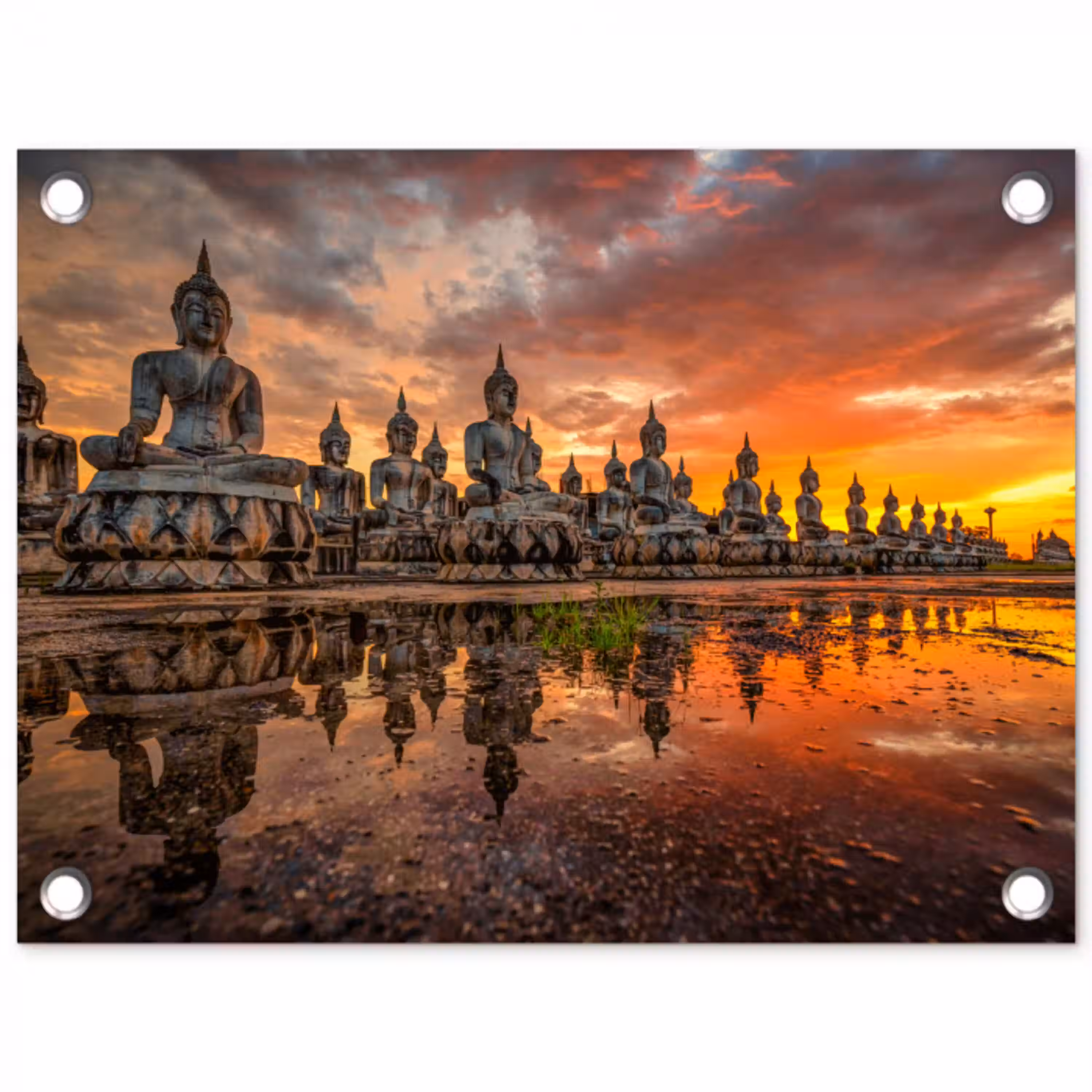 Rij van Boeddha-beelden bij zonsondergang tuinposter los doek klein -3d