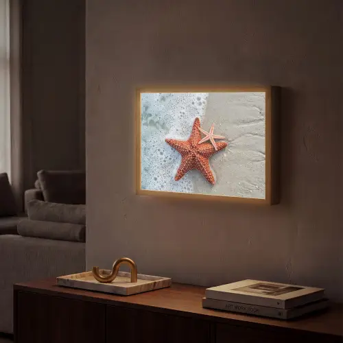 Zeester - Strand - Zee Light Box met batterij (Wandlamp) middel -sfeer1