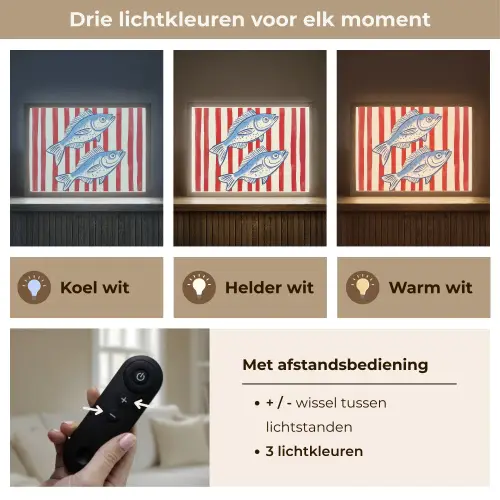 Vissen - Verticale strepen - Blauw - Rood Light Box met batterij (Wandlamp) middel -USP_lichtkleurNL