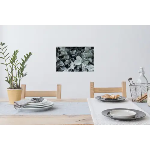 Close-up van eucalyptusplanten uit de natuur Muursticker klein -eettafel