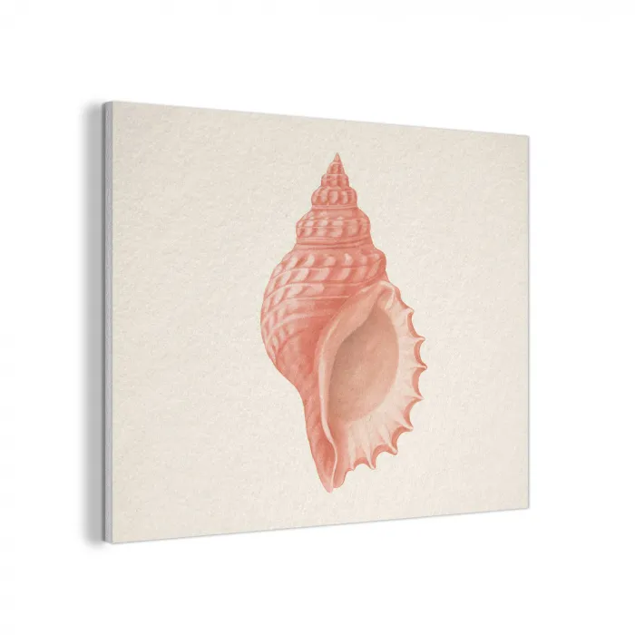 Schelp - Roze - Structuur PET vilt klein -3d