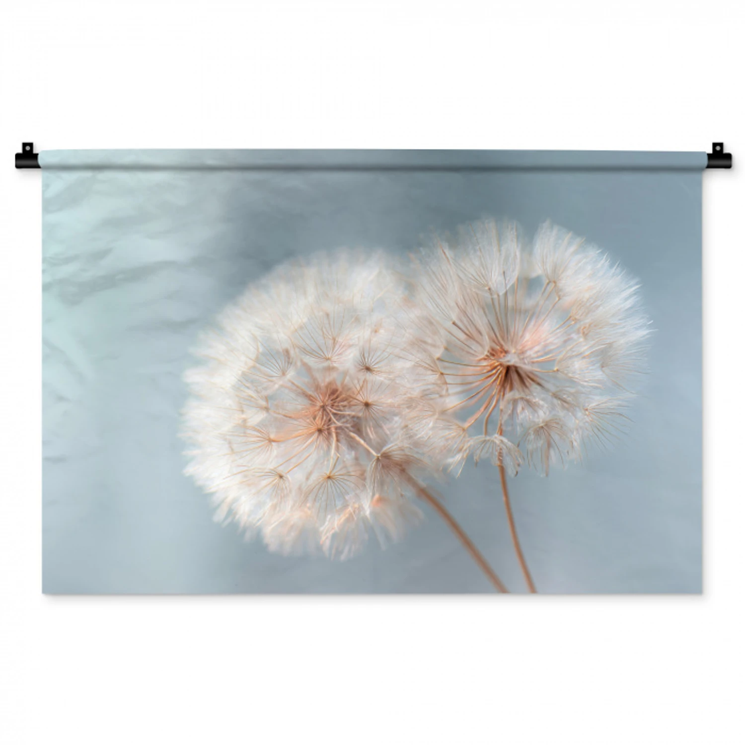 Paardenbloemen - Pluisjes - Wit Wandkleed katoen middel -zz3d
