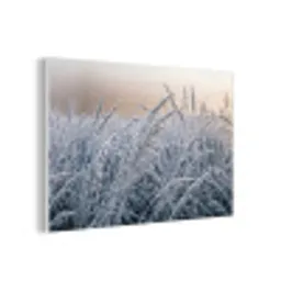 Rijp - Gras - Kristallen - Winter - Minimalistisch forex 5mm xxl -3d