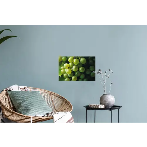 Druiven - Tros - Groen Muursticker klein -plant