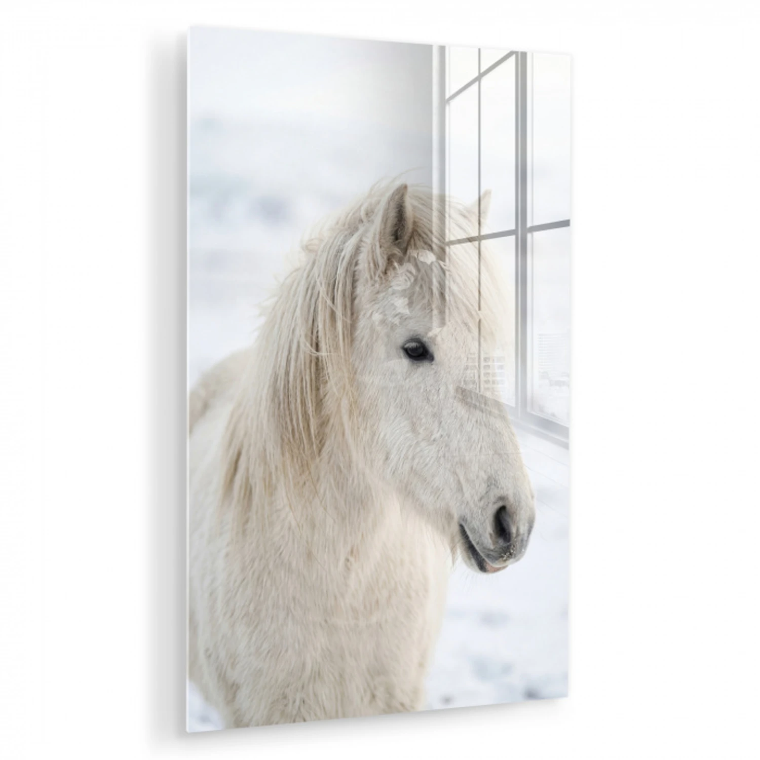 Paard - Kop - Winter - Dieren - Wit plexiglas 5mm klein -zzzproduct_nieuw