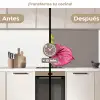 Planten - Anthurium - Groen - Roze keuken achterwand 2 middel -voor-na2_ES