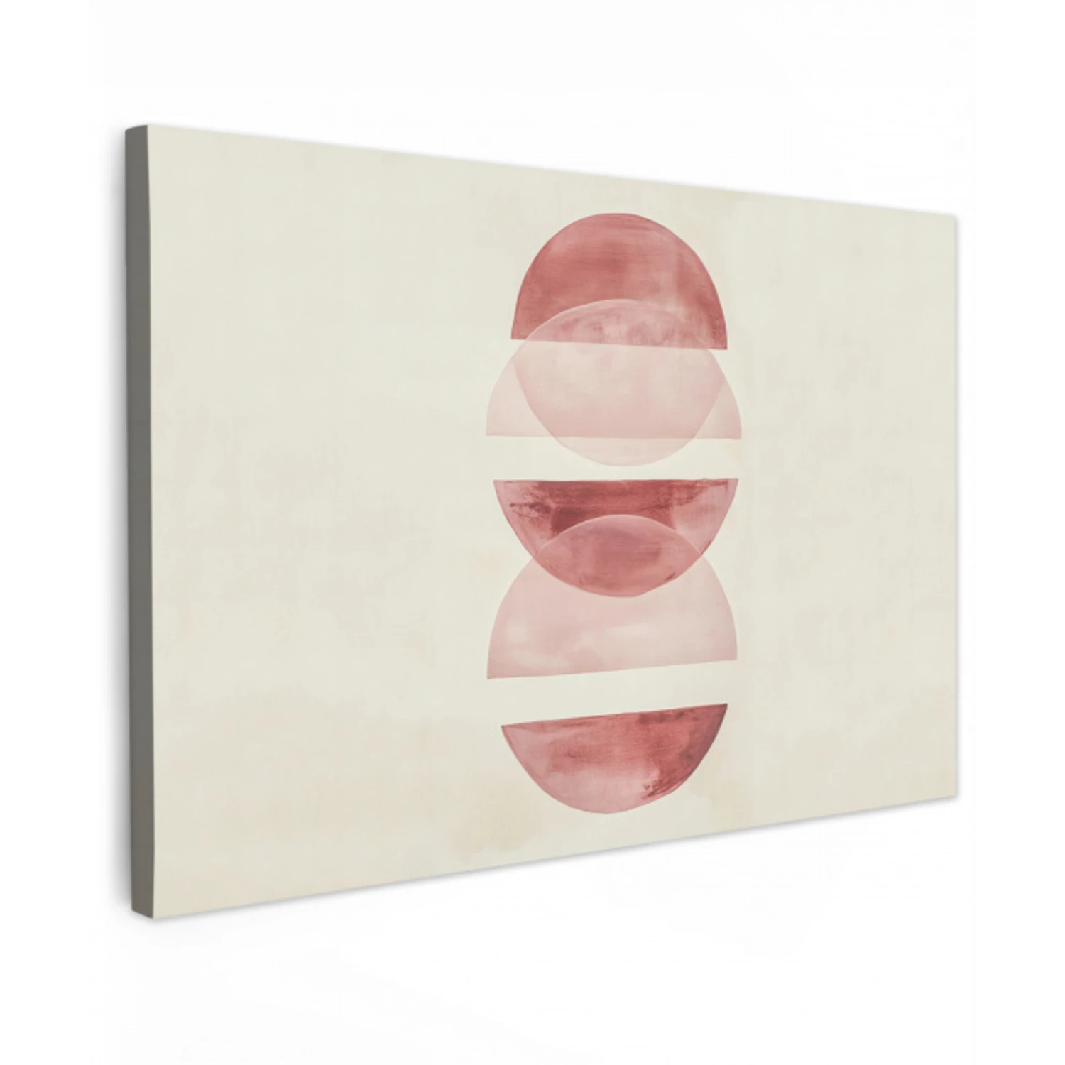 Minimalistisch - Cirkels - Roze Tuinposter op houten frame 2 cm dik klein -3d