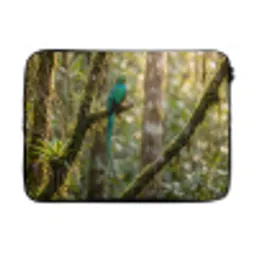Quetzal - Jungle - Natuur - Groen laptophoes neopreen klein -3d