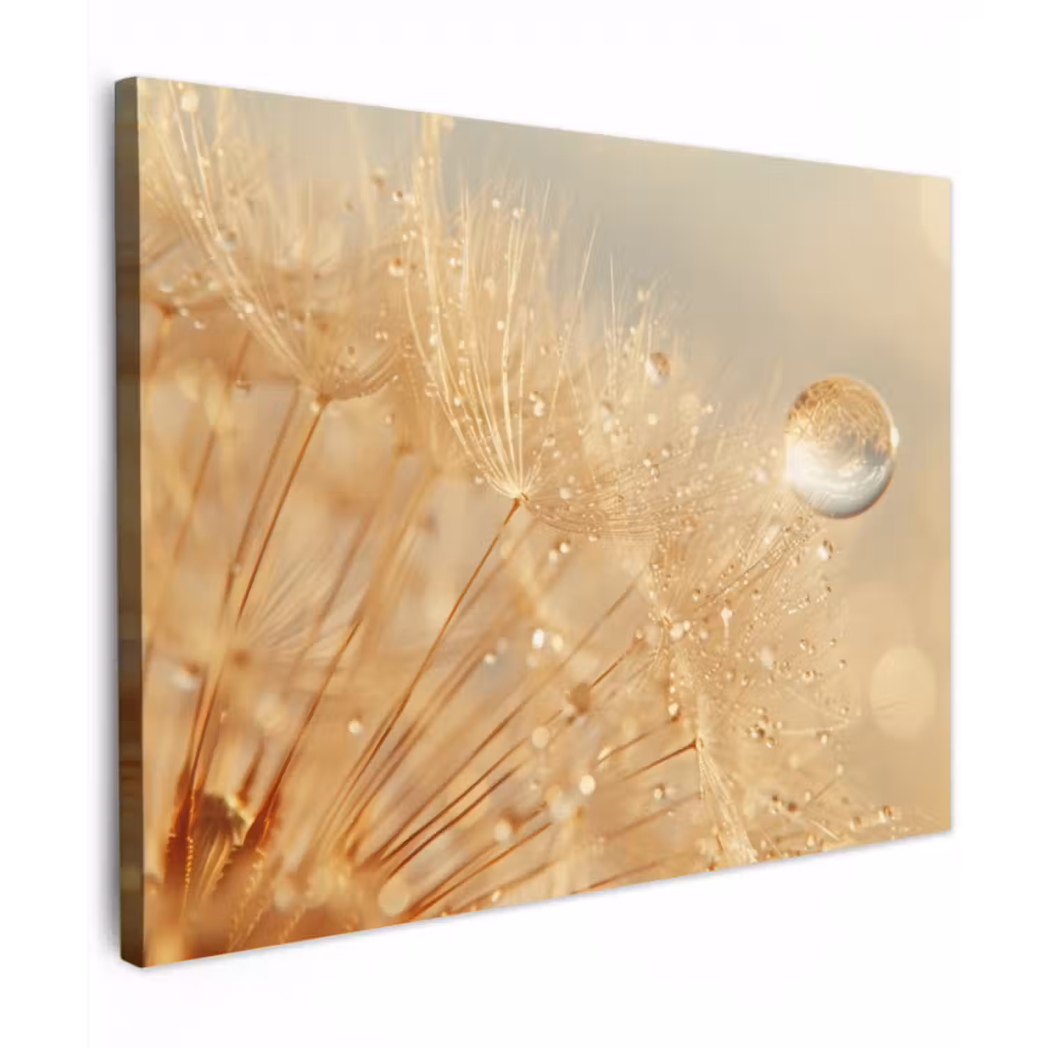 Canvas schilderij - Paardenbloem - Water - Natuur - Planten - Modern