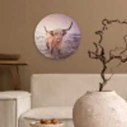 Schotse hooglanders - Licht - Lucht - Natuur Wandcirkel kunststof plaat 5mm dik klein -sfeer1