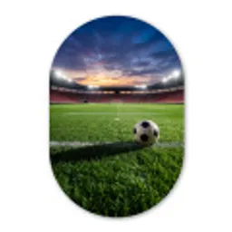 Voetbal - Stadion - Sport - Groen Wandcirkel Ovaal Forex klein -3d