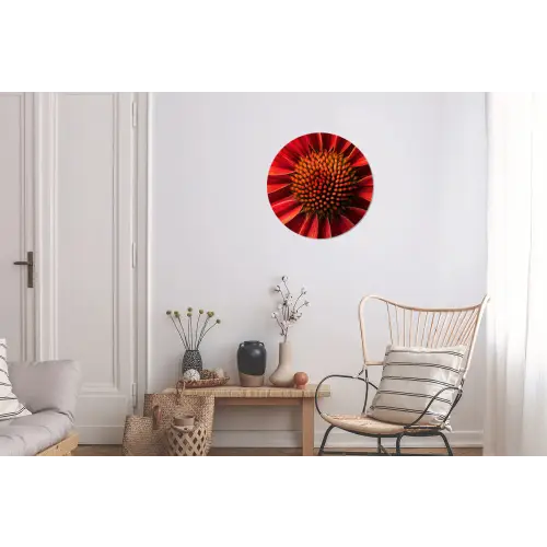 Close up - Bloem- Rood Wandcirkel aluminium klein -woonkamer