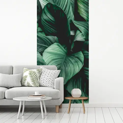 Jungle - Bladeren - Tropisch - Planten - Natuur fotobehang vinyl groot -woonkamer