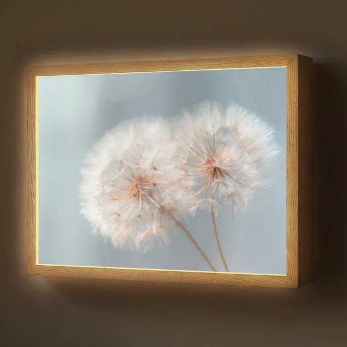 Paardenbloemen - Pluisjes - Wit Light Box met batterij (Wandlamp) middel -z3d_website