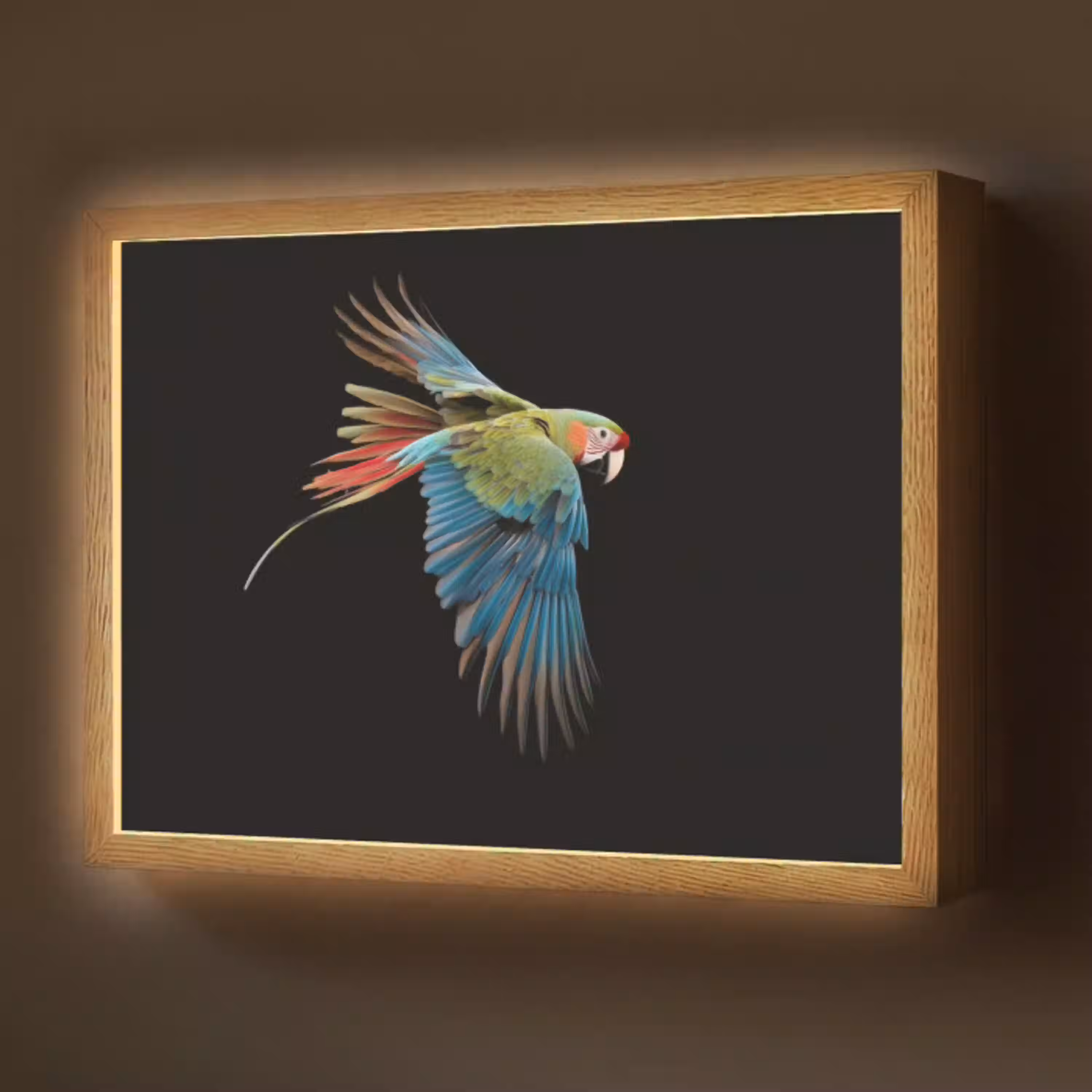 Papegaai - Kleurrijk - Vleugels - Sierlijk Light Box met batterij (Wandlamp) middel -z3d_website