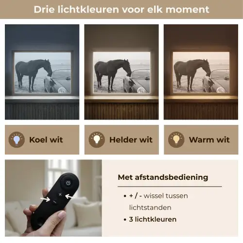 Paard - Auto - Zwart - Wit Light Box met batterij (Wandlamp) middel -USP_lichtkleurNL