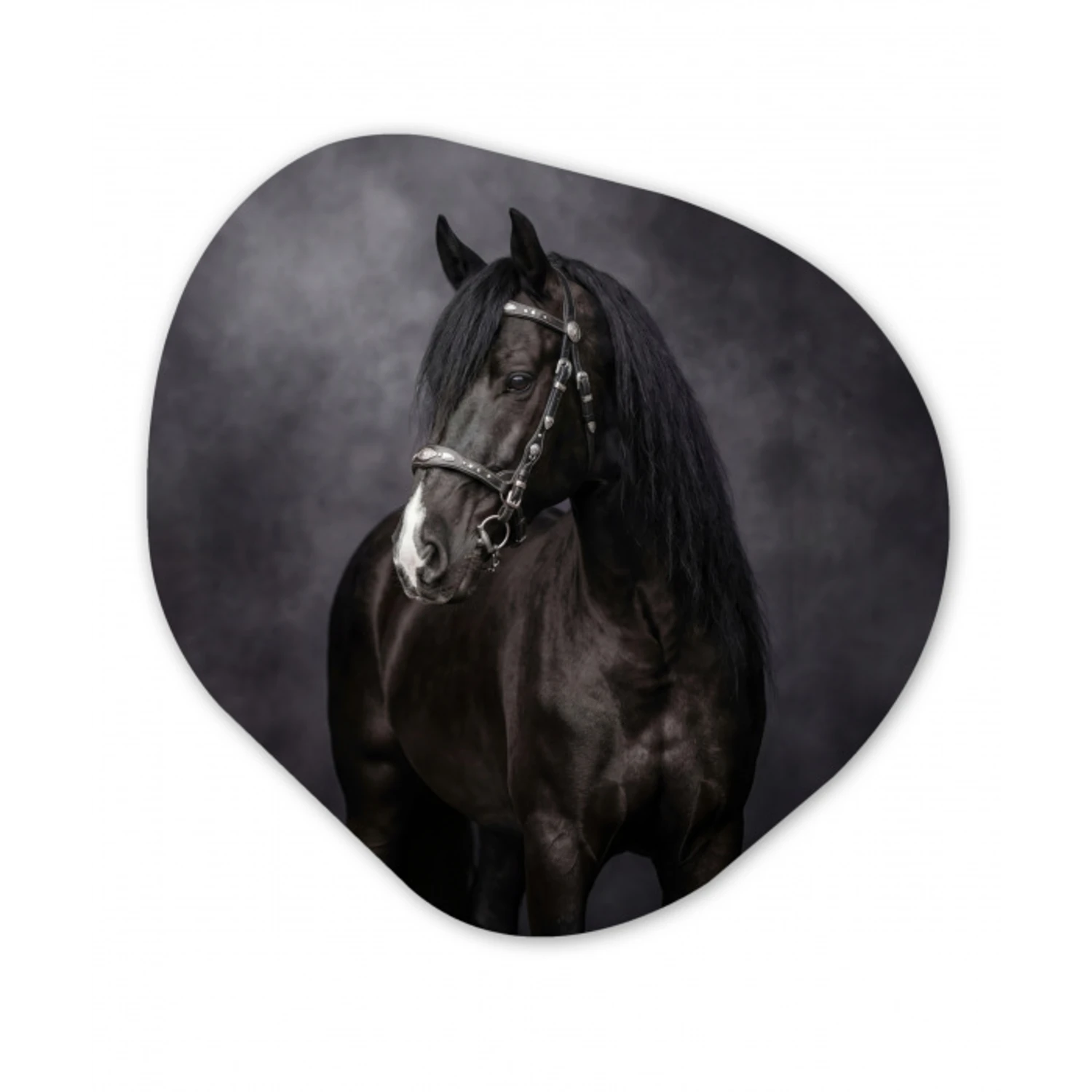 Portret - Paard - Zwart Wandcirkel Organisch Forex 3mm klein -3d