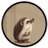 Egel - Snuitje - Bruin - Stekels Fotolijst rond zonder passe partout klein -3d