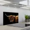 Schotse Hooglander - Horens - Zwart - Dieren - Natuur - Wild - Koe keuken achterwand spatscherm klein -3d_schuin