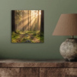 Bos - Zonlicht - Gras aluminium wit klein -sfeer2