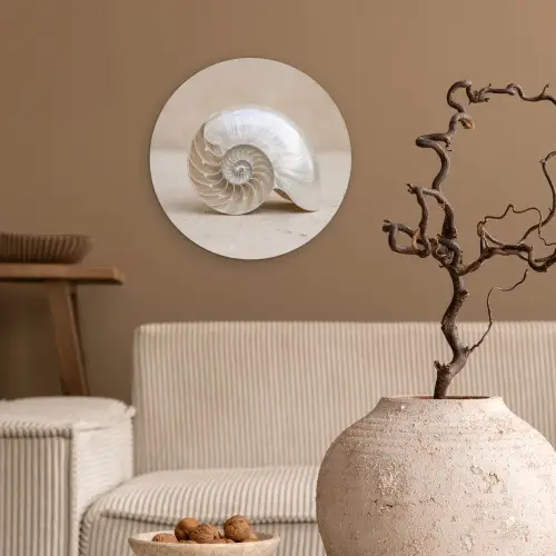 Schelp - Spiraal - Beige Wandcirkel kunststof plaat 5mm dik klein -sfeer1