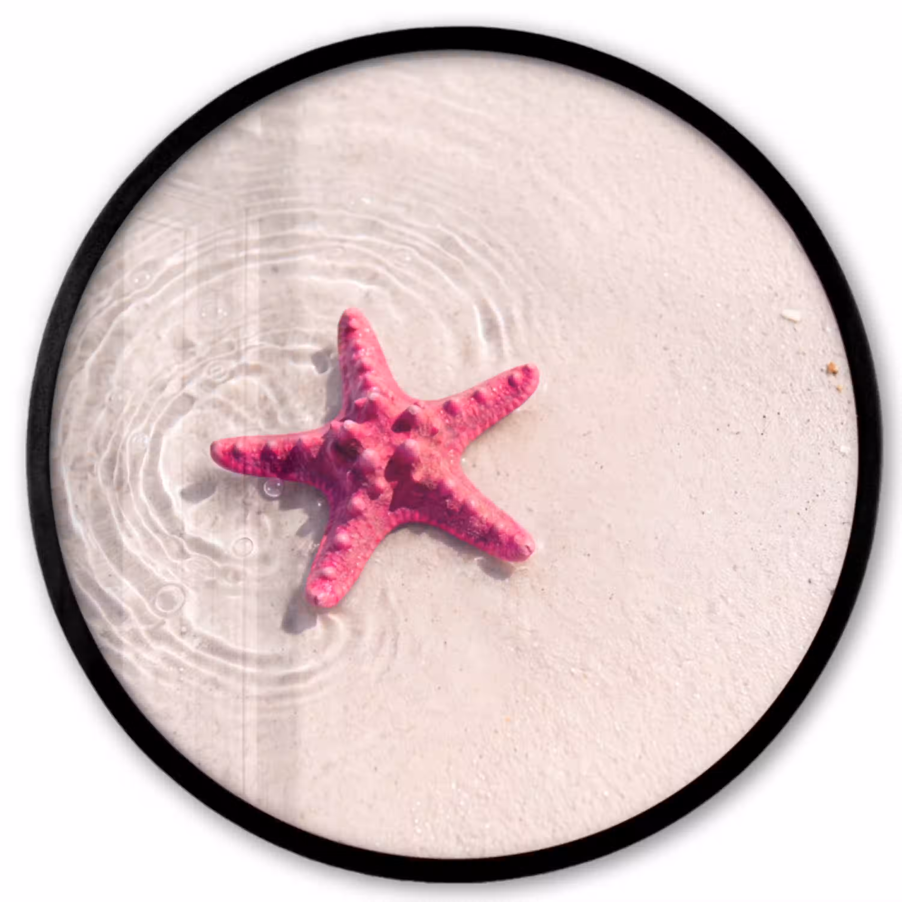 Zeeleven - Zeester - Strand - Roze - Water Fotolijst rond zonder passe partout klein -3d