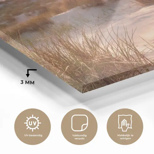 Duin - Planten - Zonsondergang - Strand - Zee plexiglas 5mm klein -sfeer2