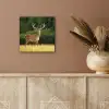 Hert - Gewei - Gras - Natuur - Dieren - Groen aluminium wit klein -sfeer4