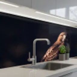 Roofvogel - Buizerd - Bruin keuken achterwand 2 middel -3d_schuin
