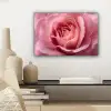 Roze - Roos - Romantisch canvas 2cm klein -sfeer6