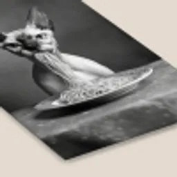 Sphynx - Kat - Dieren - Humor - Spaghetti - Zwart Wit fotolijst zwart zonder passe partout klein -zsfeer6