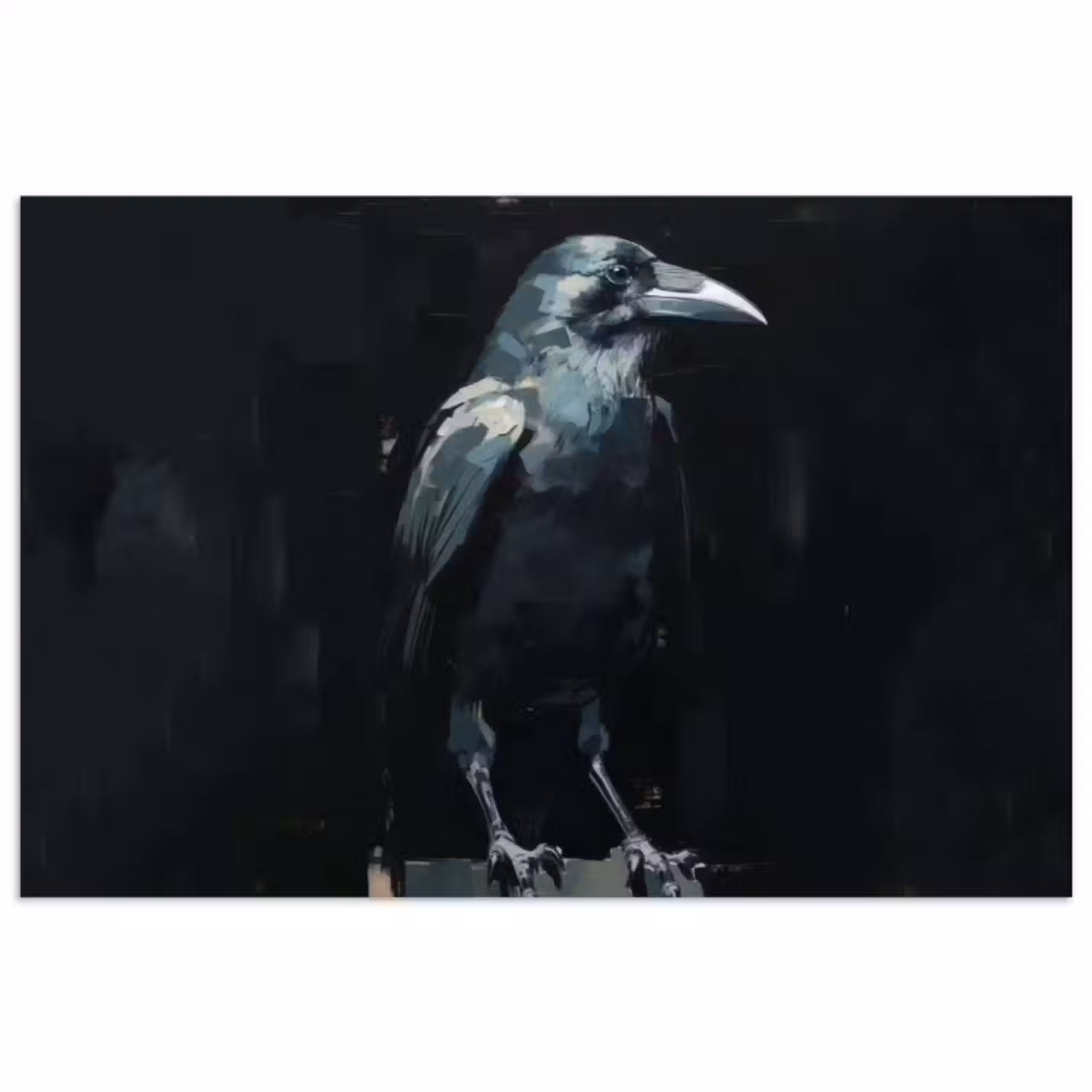 Poster – Raaf - Vogels - Zwart