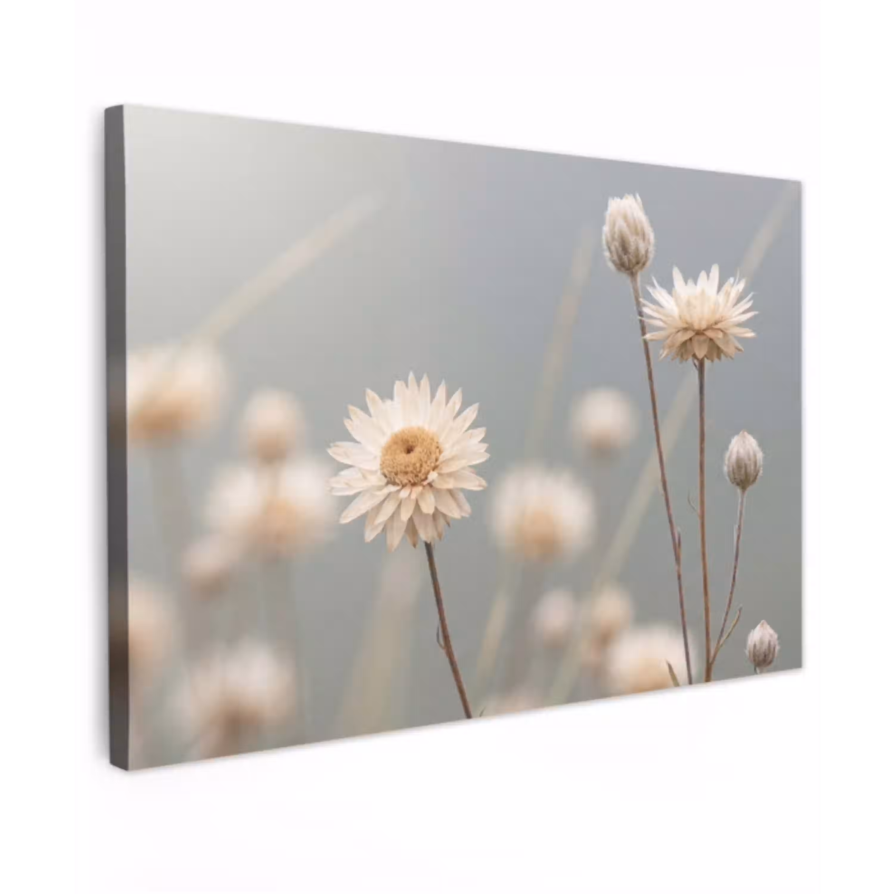 Strobloemen - Wit - Daglicht canvas 2cm klein -z3d