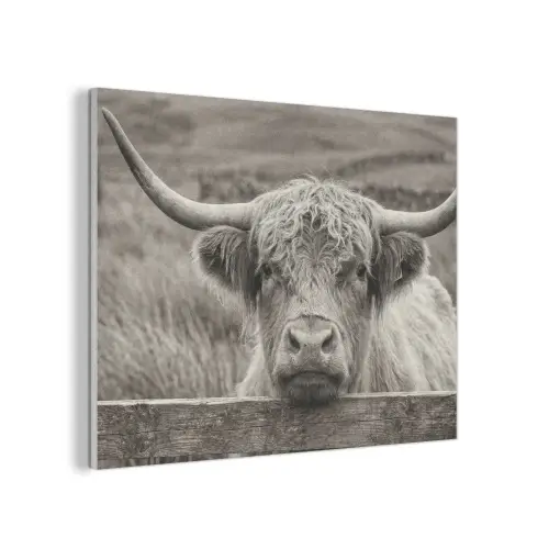 Schotse hooglander - Zwart - Wit - Hout PET vilt klein -3d