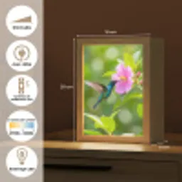 Kolibrie - Bloem - Natuur - Groen Light Box met kabel (Kinderlampje) klein -USP_FR