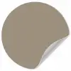 Interieur - Kleuren - Beige Wandcirkel behangsticker klein 186 -3d