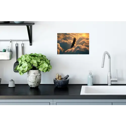 Adelaar - Wolken - Zon Muursticker klein -keuken