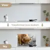Schotse Hooglander - Dieren - Bruin - Koe - Zwart - Wit - Natuur keuken achterwand spatscherm klein -voor_na_NL