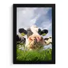 Koe - Boerderij - Gras - Dieren fotolijst zwart zonder passe partout klein -3d