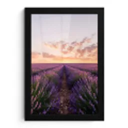 Landschap - Lavendelveld - Paars fotolijst zwart zonder passe partout klein -3d