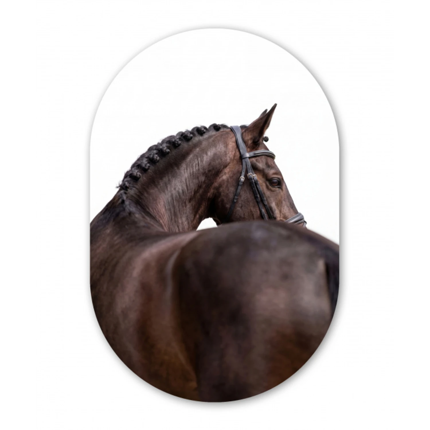 Portret - Paard - Elegant Wandcirkel Ovaal Aluminium middel -3d
