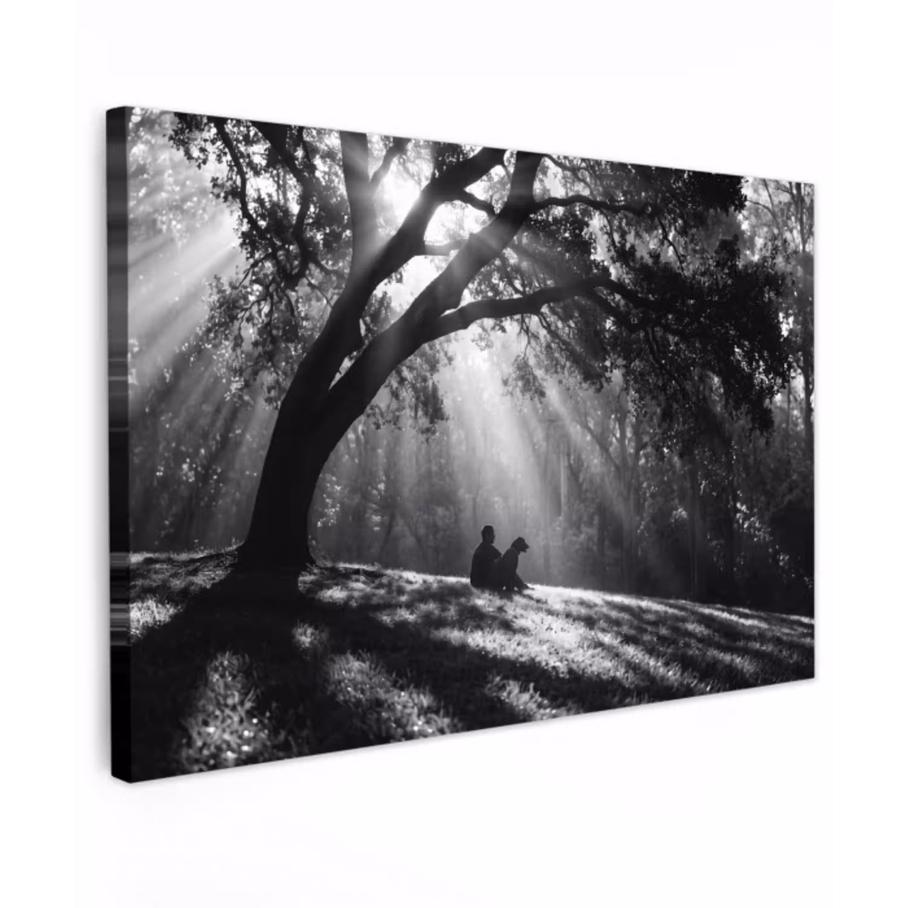 Mens - Hond - Natuur - Zwart-wit - Silhouet Tuinposter op houten frame 2 cm dik klein -3d